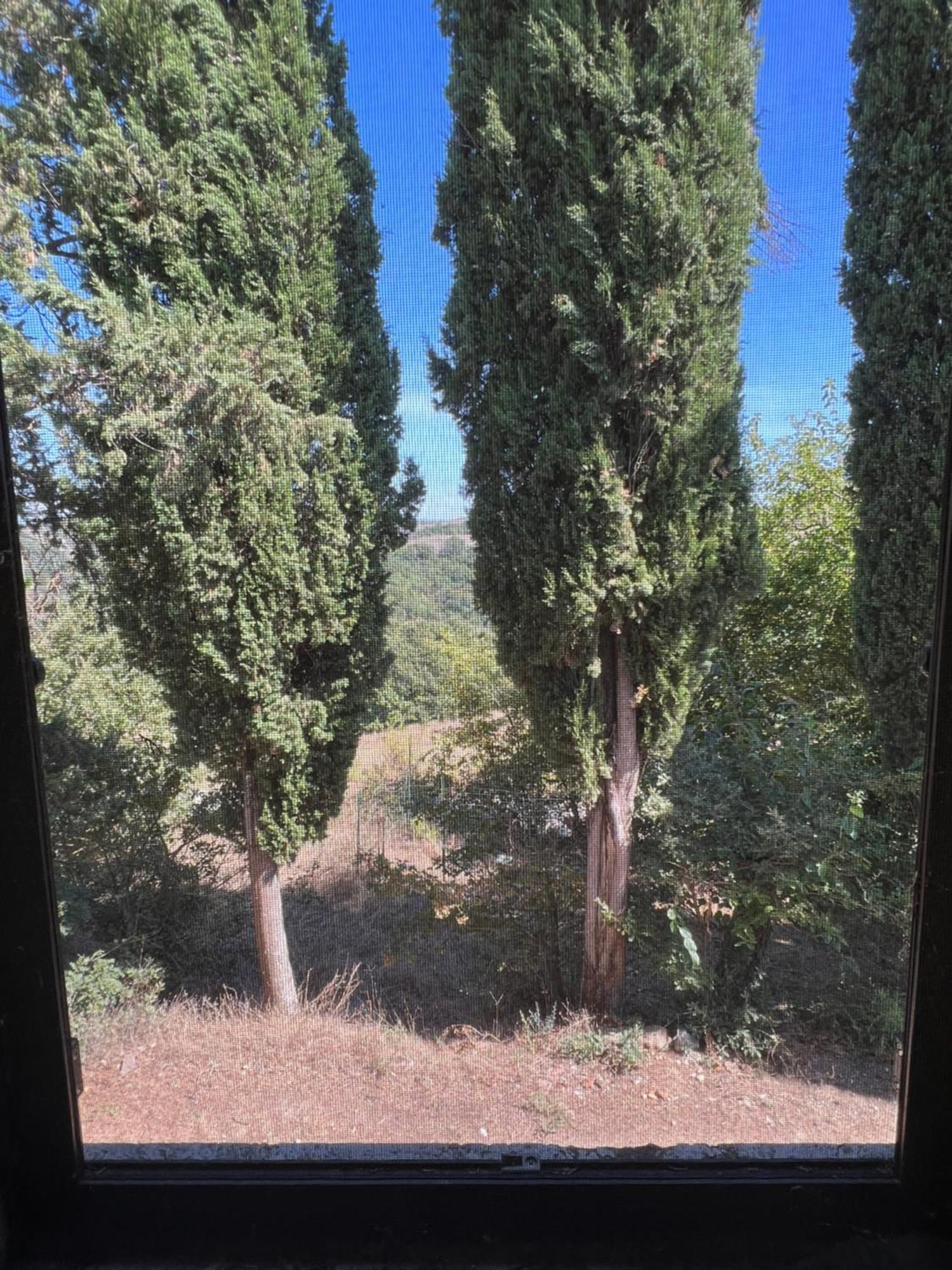 Agriturismo Diffuso Monte Oliveto Maggiore Chiusure Buitenkant foto